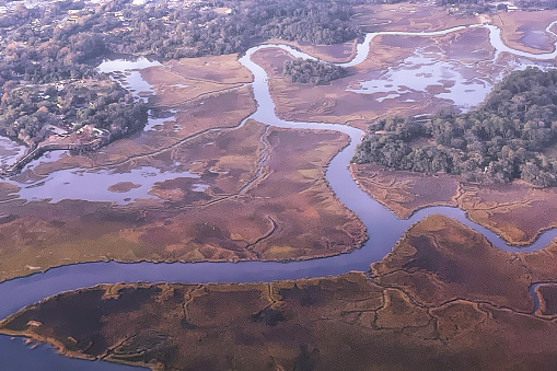an aerial view of the residential area of charleston Ashleyville with swamp and river