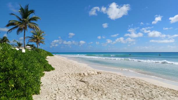 istock Playa del Carmen Beach view 1915844566