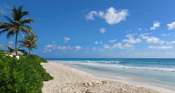 istock Playa del Carmen Beach view 1915845105