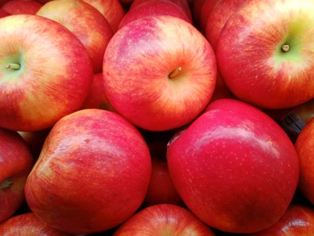 istock Apples, kiwi, mangosteen, oranges, avocado, mango, snake fruit and dragon fruit 1915897424