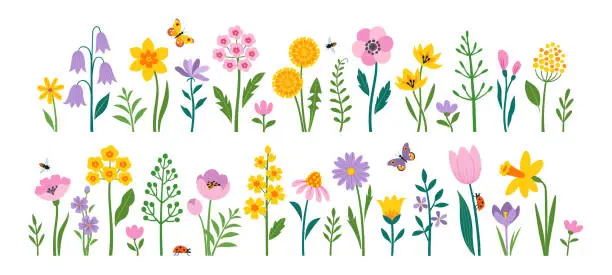Vector illustration of Set of pink, yellow and purple spring flowers