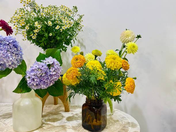 Bouquet of colorful flowers standing on yellow background.