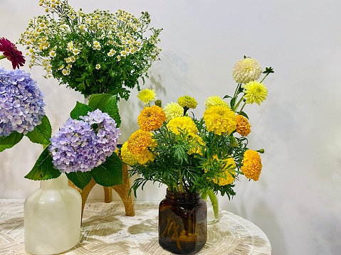 Horizontal interior of bright summer flowers in vases including  yellow orange chrysanthemums and Blue Purple Hydrangeas against white wall in country NSW Australia
