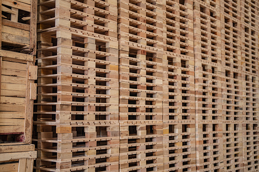Pressed pine wood briquettes on pallets. Solid fuel for stoves from softwood shavings.