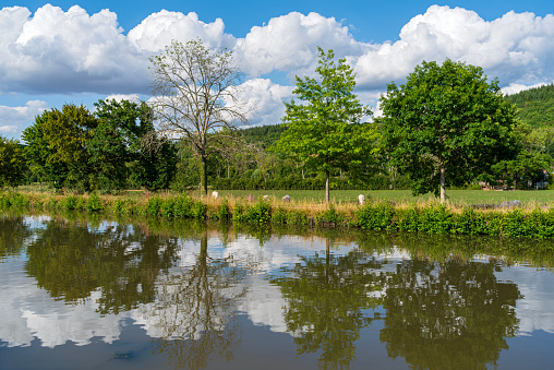 scenery of pasture and forested hillside along nivernais canal at chevroches in nievre department france