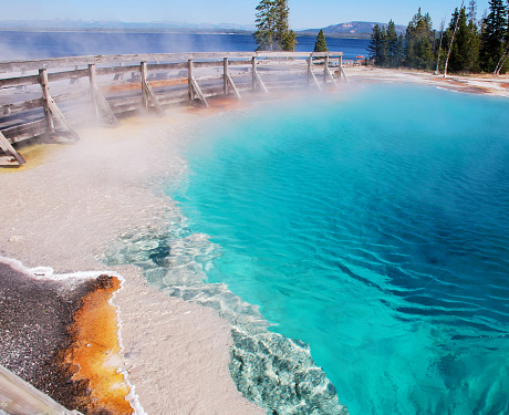 Spectacular panoramic views of West Thumb Geyser Basin in Yellowstone National Park, Wyoming Montana. Yellowstone Lake. Great hiking. Summer wonderland to watch wildlife and natural landscape. Geothermal.