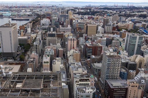 Tokyo Sky Tree.  Rooftop View Cityscape of Tokyo skyline in the noon. Tokyo, Japan