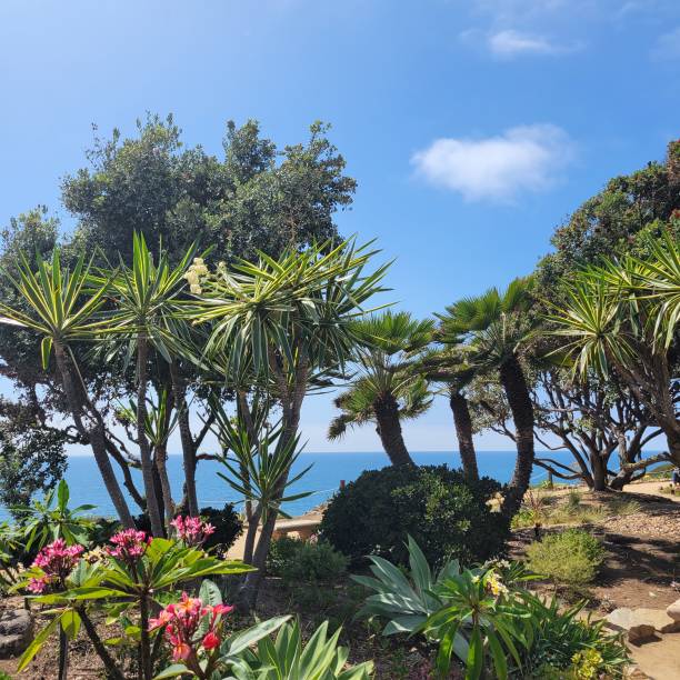 istock Meditation garden overlooking the Pacific Ocean 1916073825