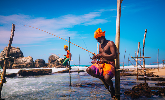 Koggala, Sri Lanka -December 13, 2023:\nStilt fishermen fish in the traditional way in shallow water in Koggala, Sri Lanka.