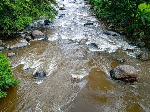 river flowing fast in tropical rainforest. River with brown water