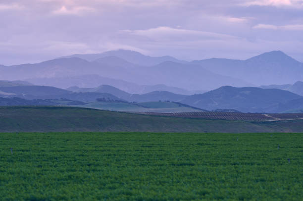Blue hour Coastal Mountains in California.