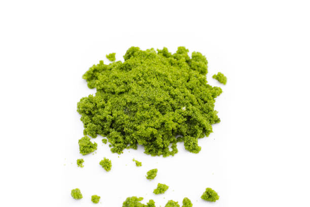 istock Wolffia globosa or swamp algae, water meal 1916172702
