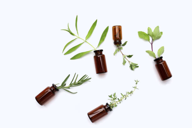 istock Fresh herbs with essential oil bottles on white background. 1916173221
