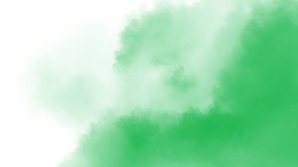 istock Green watercolor on white background 1916181524