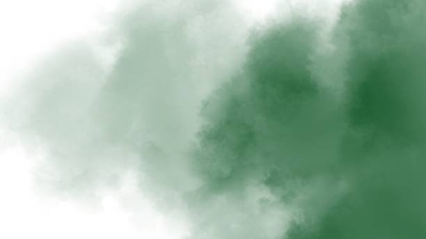 istock Green watercolor on white background 1916184252