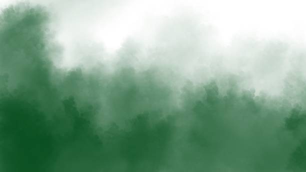 istock Green watercolor on white background 1916186350