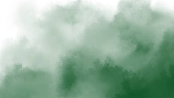 istock Green watercolor on white background 1916186865