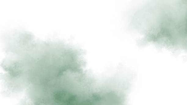 istock Green watercolor on white background 1916186873