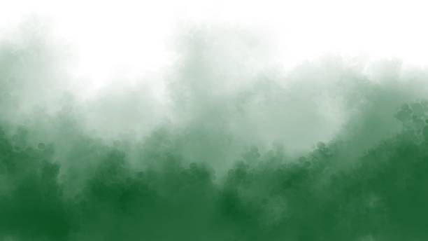 istock Green watercolor on white background 1916187380