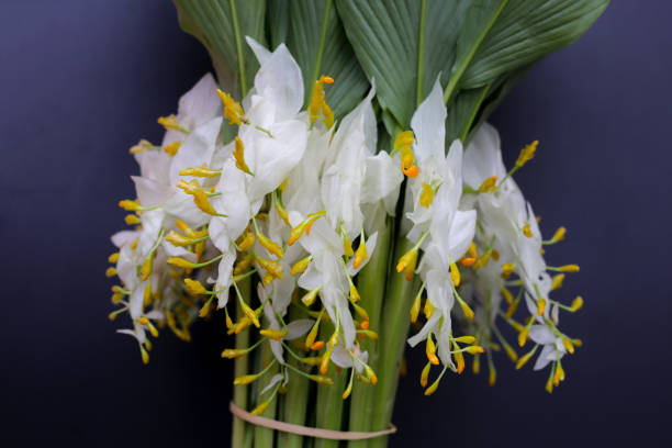 istock White yellow globba flower bouquet 1916189429