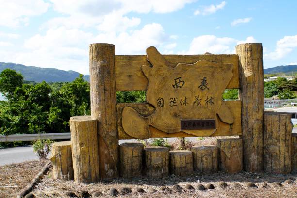 istock Landscape of Iriomote Island 1916257689