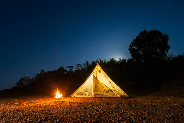istock Tent and marquee for night camping on the beach 1916259241