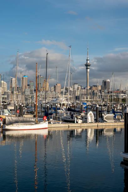 istock Westhaven Marina in Central Auckland, New Zealand 1916269607