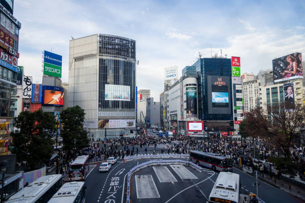 istock The best view in Tokyo 1916355412