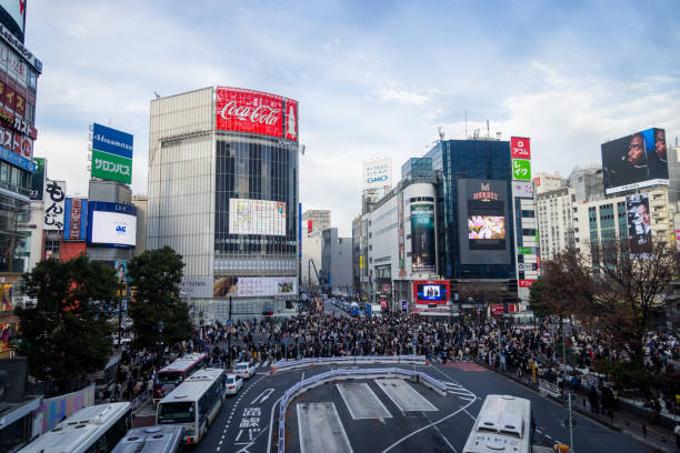 istock The best view in Tokyo 1916355413