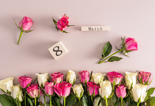 Beautiful festive background for International Women's Day on the eighth of March with delicate white and pink roses and a wooden calendar. border