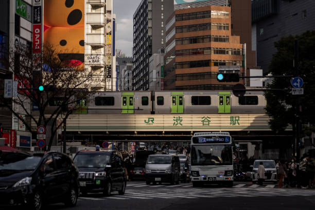 istock The best view in Tokyo 1916357574