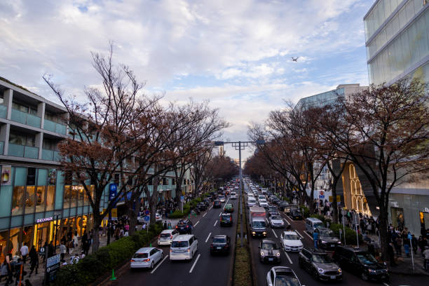 istock The best view in Tokyo 1916365455