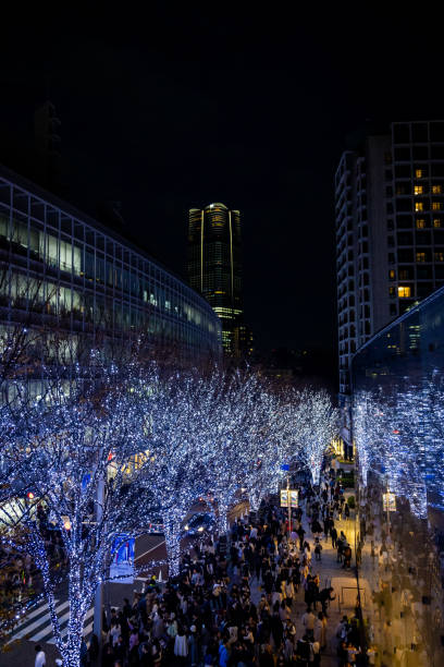 istock The best view in Tokyo 1916370812