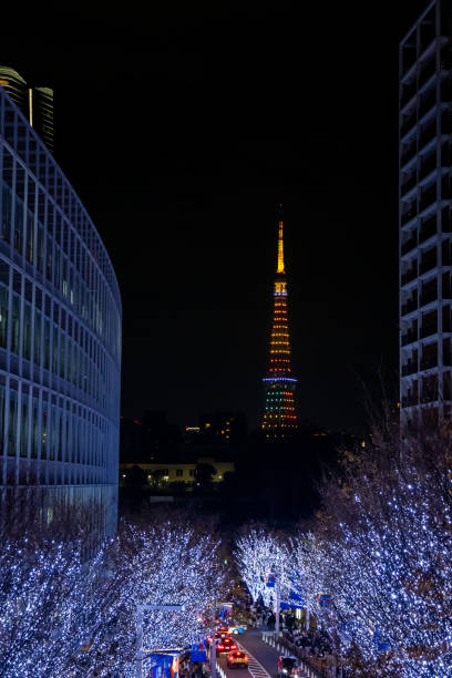 istock The best view in Tokyo 1916371338