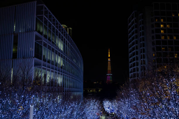 istock The best view in Tokyo 1916371876