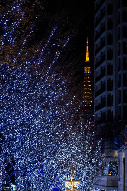 istock The best view in Tokyo 1916372496
