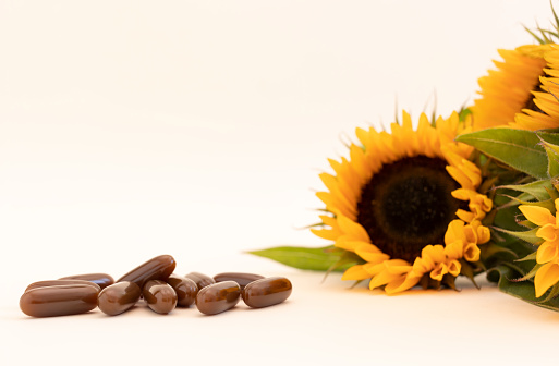 Mockup Sunflower Lecithin Brown Softgel Pill, Capsule On White Beige Background with Sunflowers. Copy Space for Text. Vitamin, Dietary Supplements. Lecithin Benefits Design. Horizontal Plane.