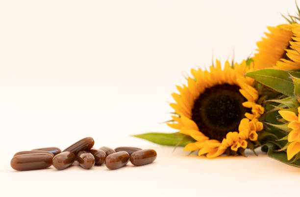 mockup sunflower lecithin brown softgel pill, capsule on white beige background with sunflowers. copy space for text. vitamin, dietary supplements. lecithin benefits design. horizontal plane - lecithin capsule vitamin pill brown imagens e fotografias de stock