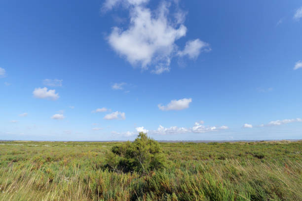Outback on the Hay Plain in the Riverina Country
