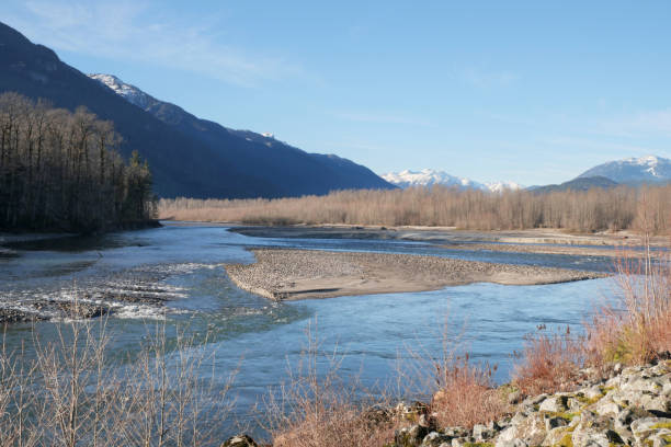 istock Squamish River during a fall season at the Eagle Run vista point in Brackendale 1916391118