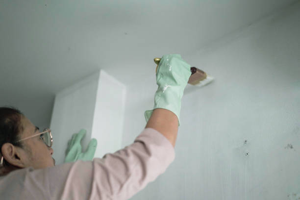 Women use the plot Paint the walls in the house