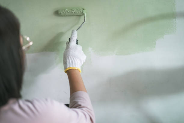 istock Woman uses equipment paint roller on walls 1916421939