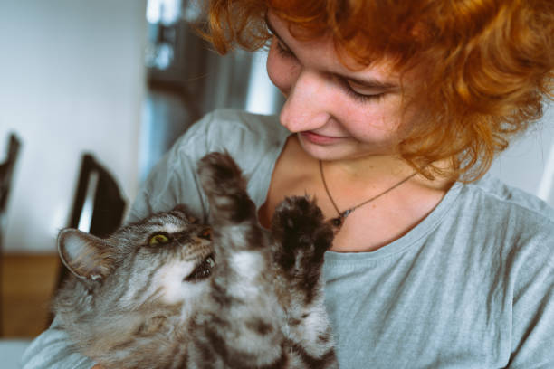 istock pet cat together mom owner 1916429339