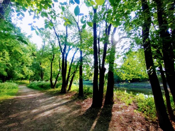 istock Sunny Day Walk along the River 1916472998