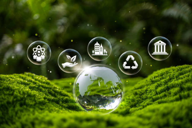istock Crystal globe placed on moss. ESG icon for environment. Society and Governance Sustainable global environment concept 1916511249