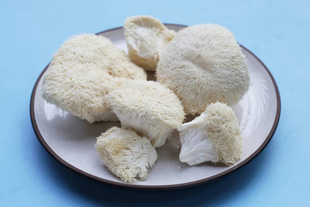 istock Fresh lion's mane mushroom. (Yamabushitake Mushroom) 1916514683