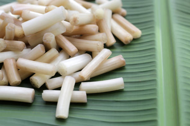 istock Fresh lotus rootlet on banana leaf 1916530679
