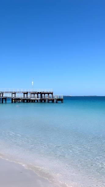 istock Stunning beach landscape with a sandy shoreline and crystal blue waters 1916579148