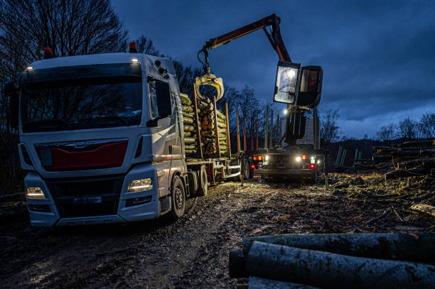istock Loading wood onto a truck at night. 1916587192