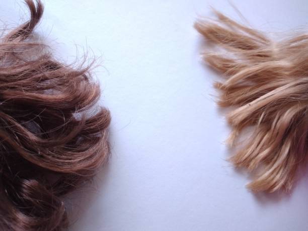 istock Long brown and blond hair 1916588249